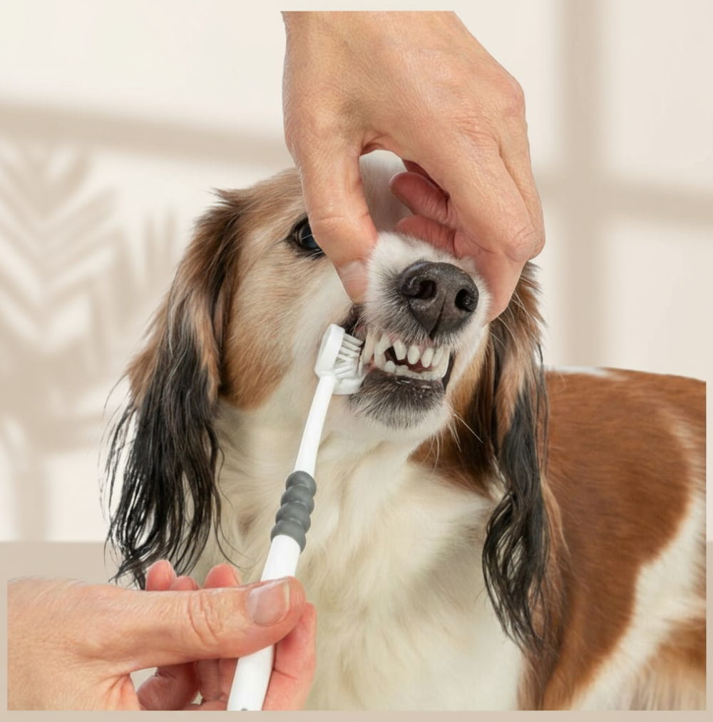 Trixie Dental Care Escova de Cabeça Tripla para Cães e Gatos